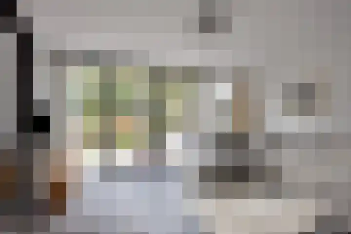 Mercuriusstraat 27 Berkel en Rodenrijs thumbnail 15
