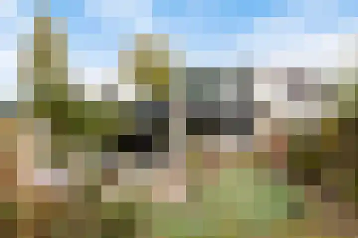 Mercuriusstraat 27 Berkel en Rodenrijs thumbnail 21