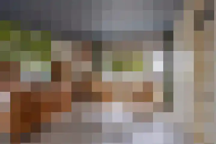Mercuriusstraat 27 Berkel en Rodenrijs thumbnail 31