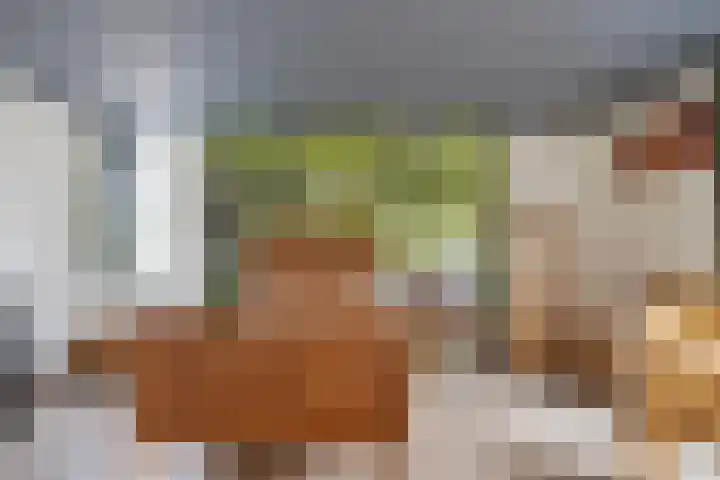 Mercuriusstraat 27 Berkel en Rodenrijs thumbnail 32
