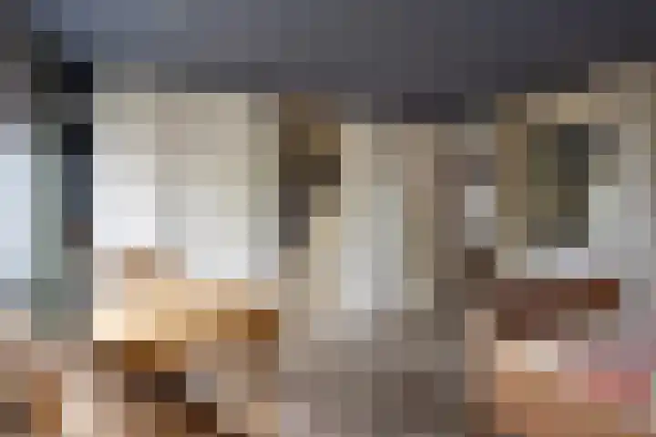 Mercuriusstraat 27 Berkel en Rodenrijs thumbnail 33