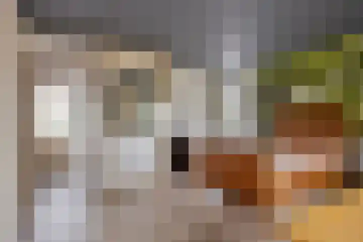 Mercuriusstraat 27 Berkel en Rodenrijs thumbnail 34