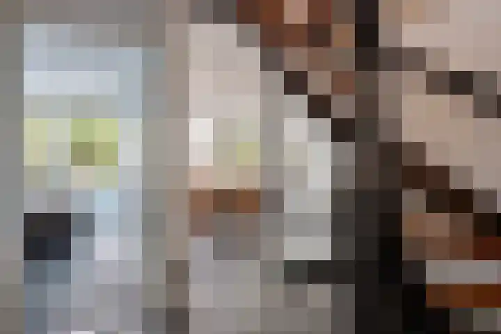 Mercuriusstraat 27 Berkel en Rodenrijs thumbnail 7