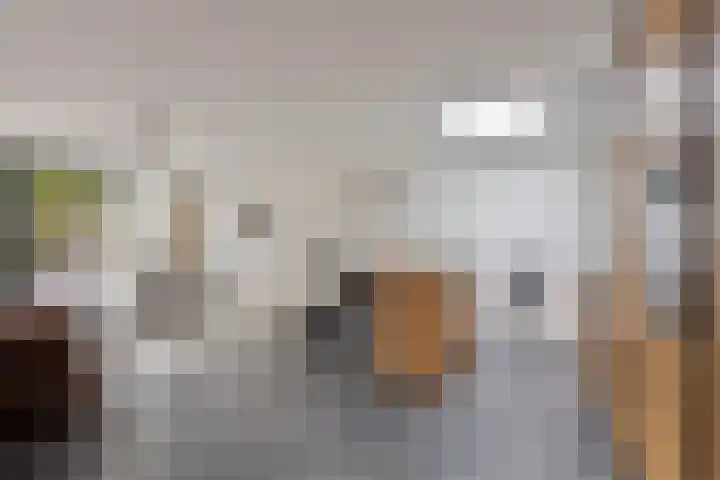 Mercuriusstraat 27 Berkel en Rodenrijs thumbnail 9
