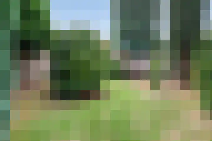 Mercuriusstraat 34 Geleen thumbnail 16