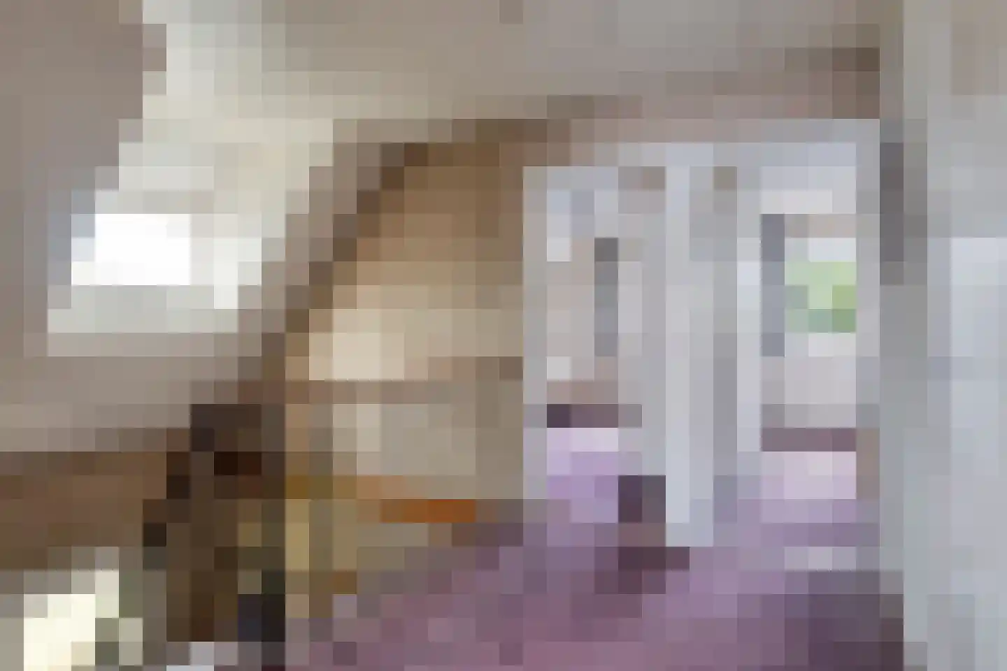 Mercuriusstraat 39 Asten thumbnail 26