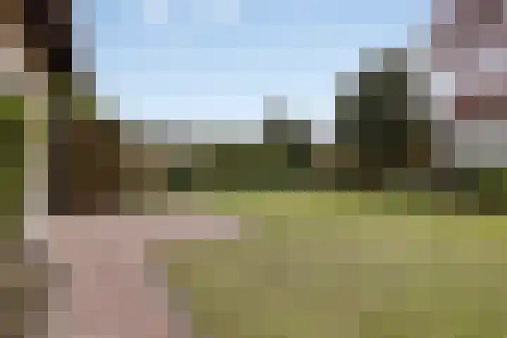 Mercuriusstraat 39 Asten thumbnail 4