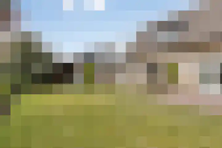 Mercuriusstraat 39 Asten thumbnail 44