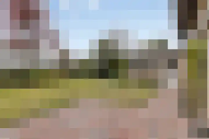 Mercuriusstraat 39 Asten thumbnail 45