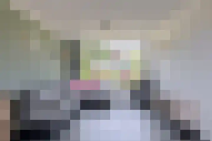 Mercuriusstraat 43 Spijkenisse thumbnail 22