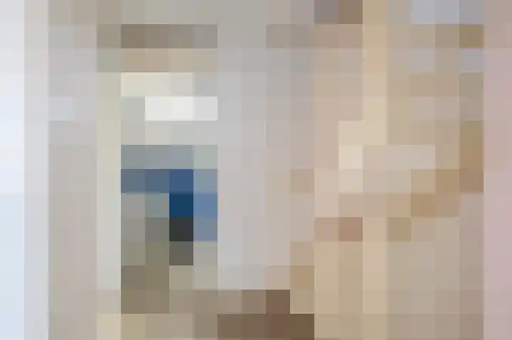 Mercuriusstraat 43 Spijkenisse thumbnail 33