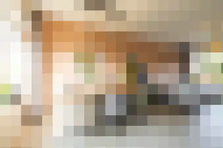 Mercuriusstraat 44 Groningen thumbnail 16