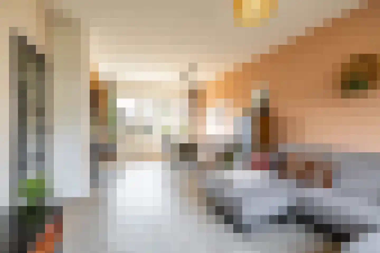 Mercuriusstraat 44 Groningen thumbnail 18