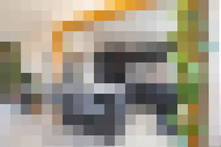 Mercuriusstraat 44 Groningen thumbnail 20