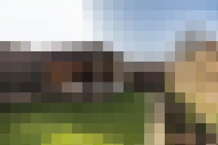 Mercuriusstraat 44 Groningen thumbnail 25