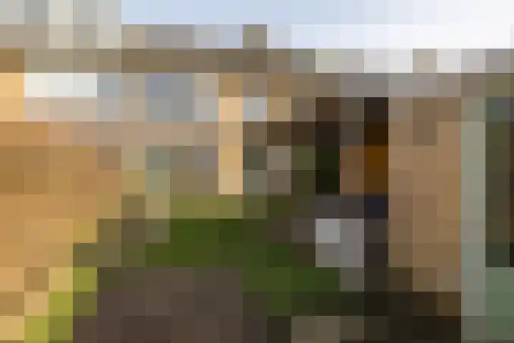 Mercuriusstraat 44 Groningen thumbnail 27