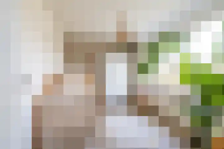 Mercuriusstraat 44 Groningen thumbnail 35