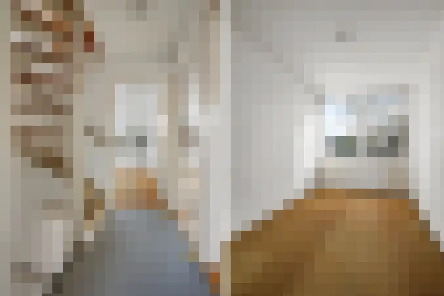 Mercuriusstraat 56 Aalsmeer thumbnail 8