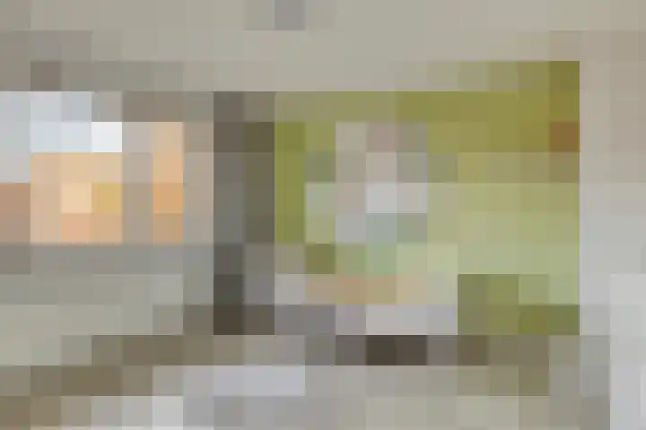 Mercuriusstraat 6 Asten thumbnail 19