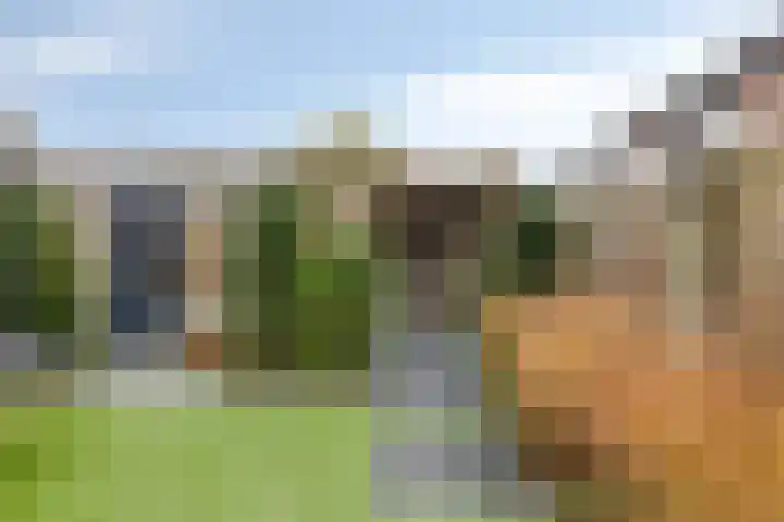 Mercuriusstraat 6 Asten thumbnail 29