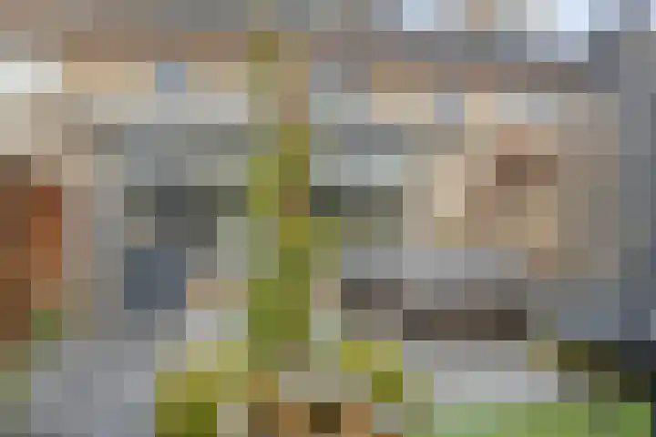 Mercuriusstraat 6 Asten thumbnail 30