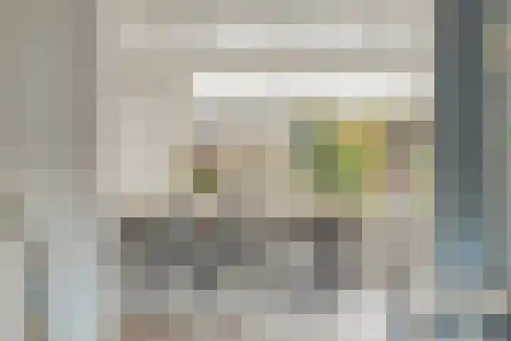 Mercuriusstraat 6 Asten thumbnail 8