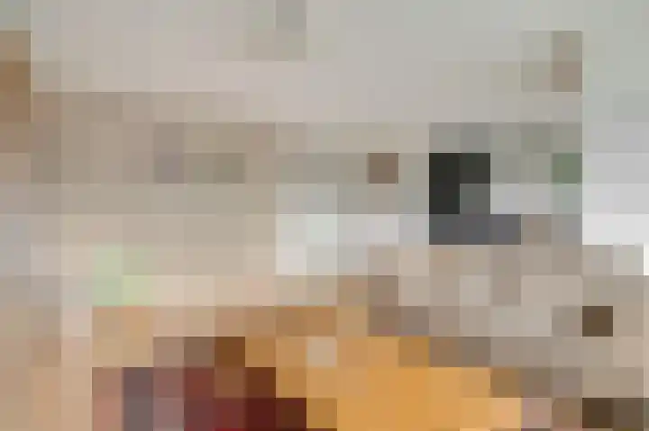 Mercuriusstraat 6 Tiel thumbnail 11