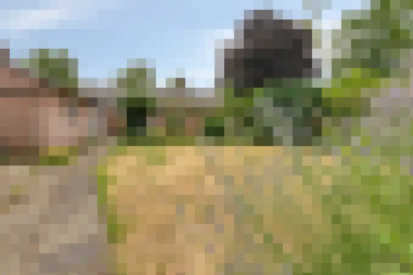 Mercuriusstraat 7 Asten thumbnail 22