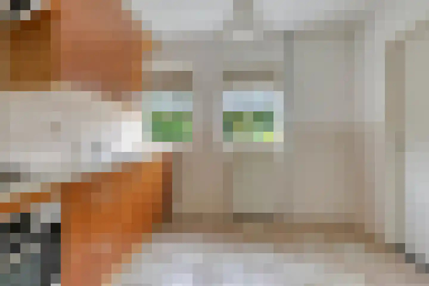 Mercuriusstraat 7 Asten thumbnail 7