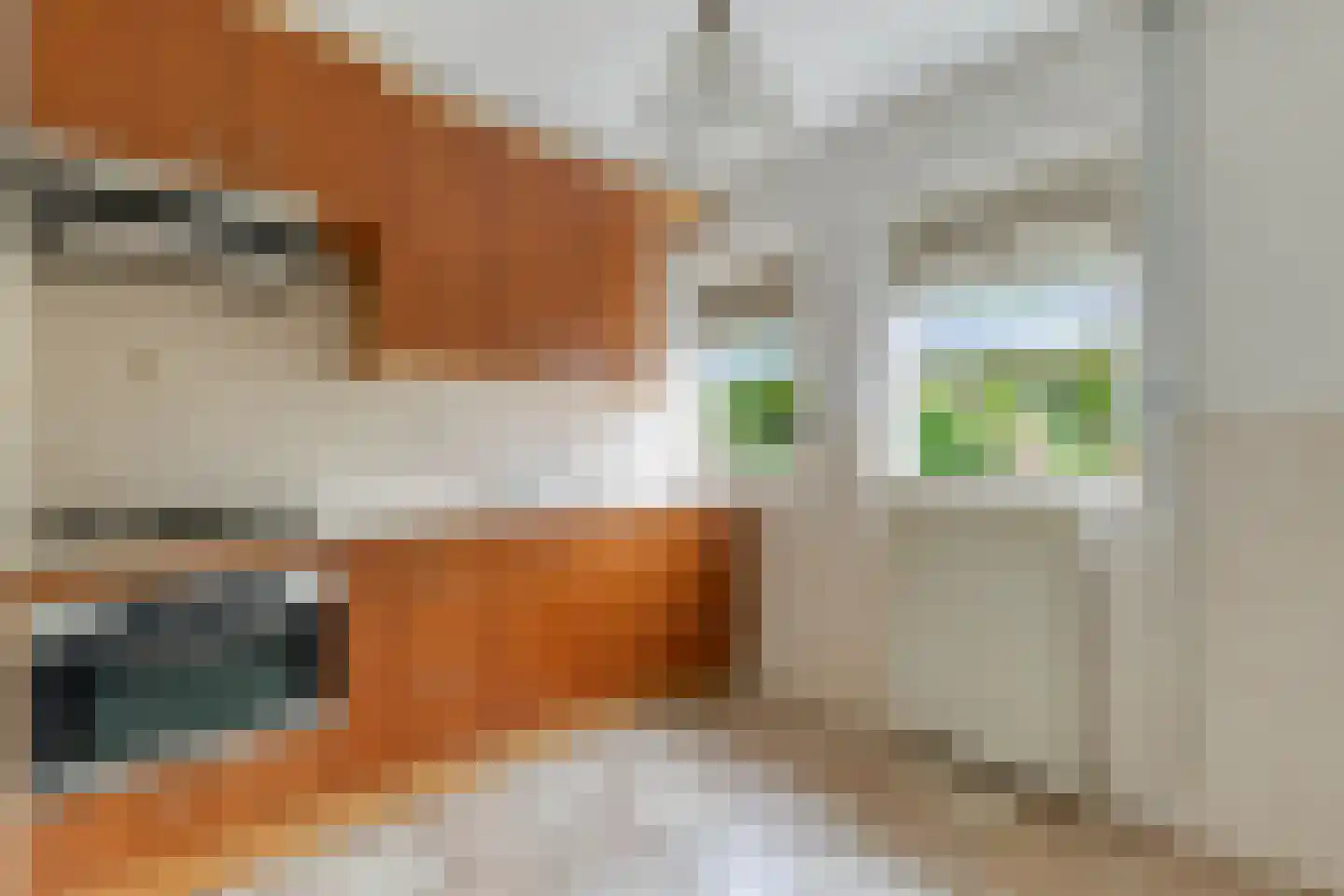 Mercuriusstraat 7 Asten thumbnail 8