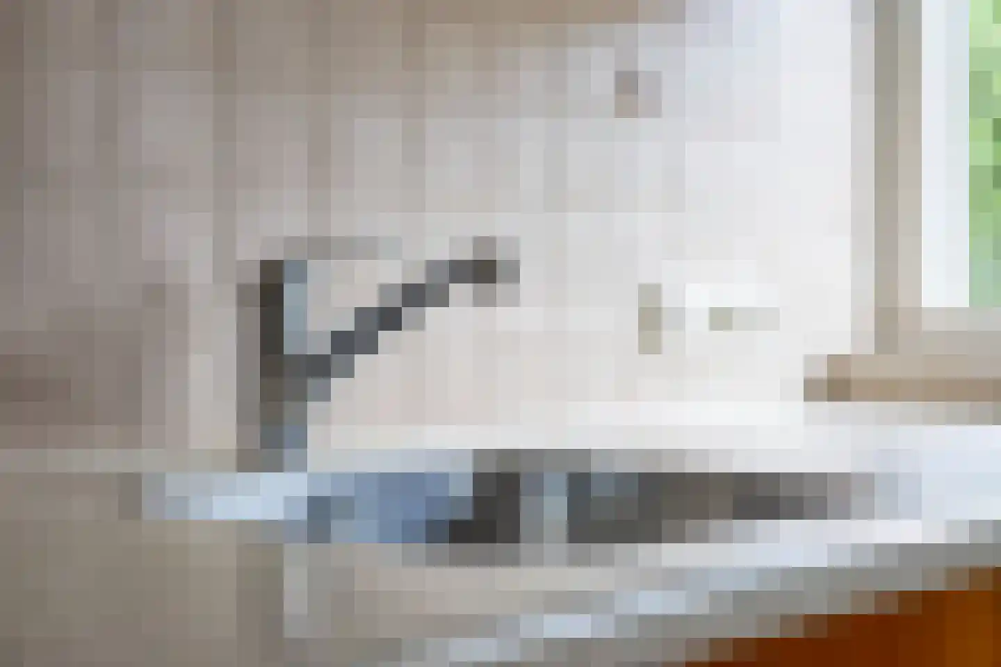 Mercuriusstraat 7 Asten thumbnail 9