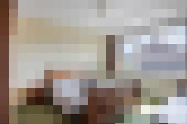 Mercuriusstraat 70 Asten thumbnail 16