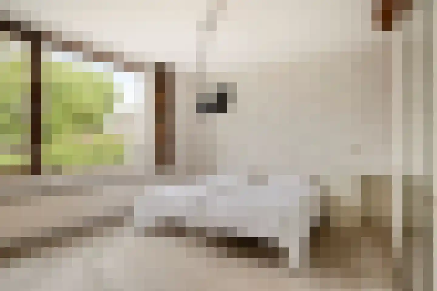 Mercuriusstraat 9 Berkel en Rodenrijs thumbnail 4