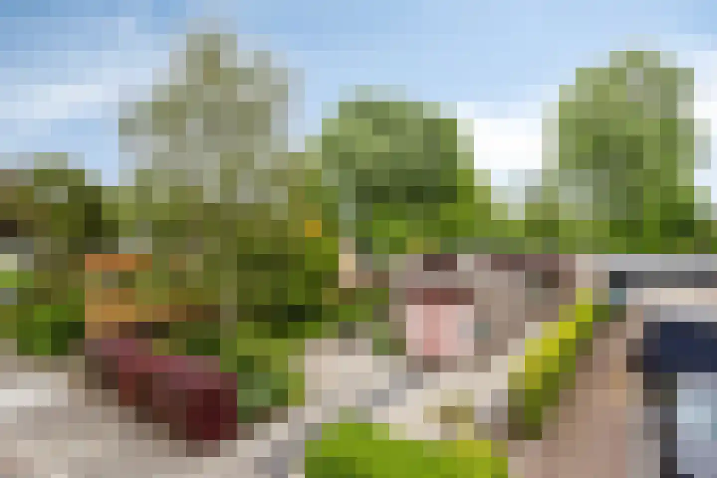 Mercuriusstraat 9 Berkel en Rodenrijs thumbnail 6