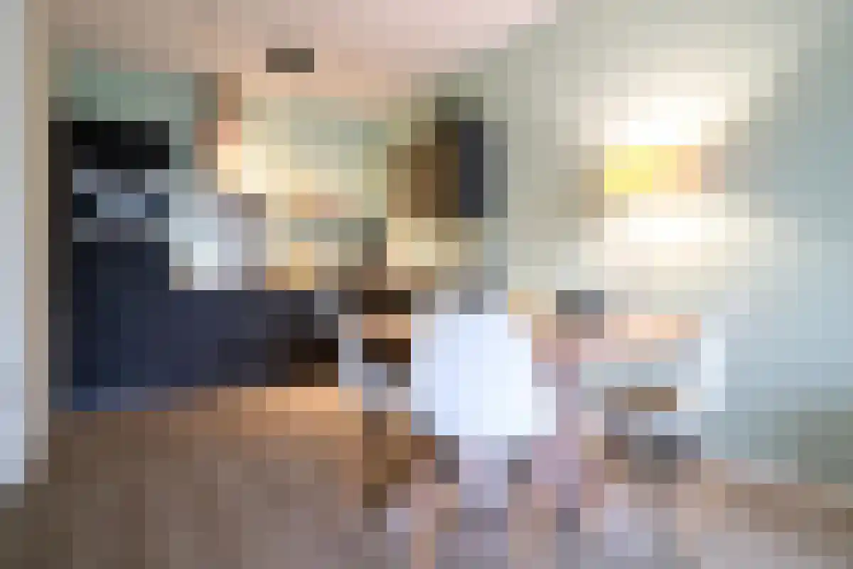 Mercuriusweg 65 Delft thumbnail 6