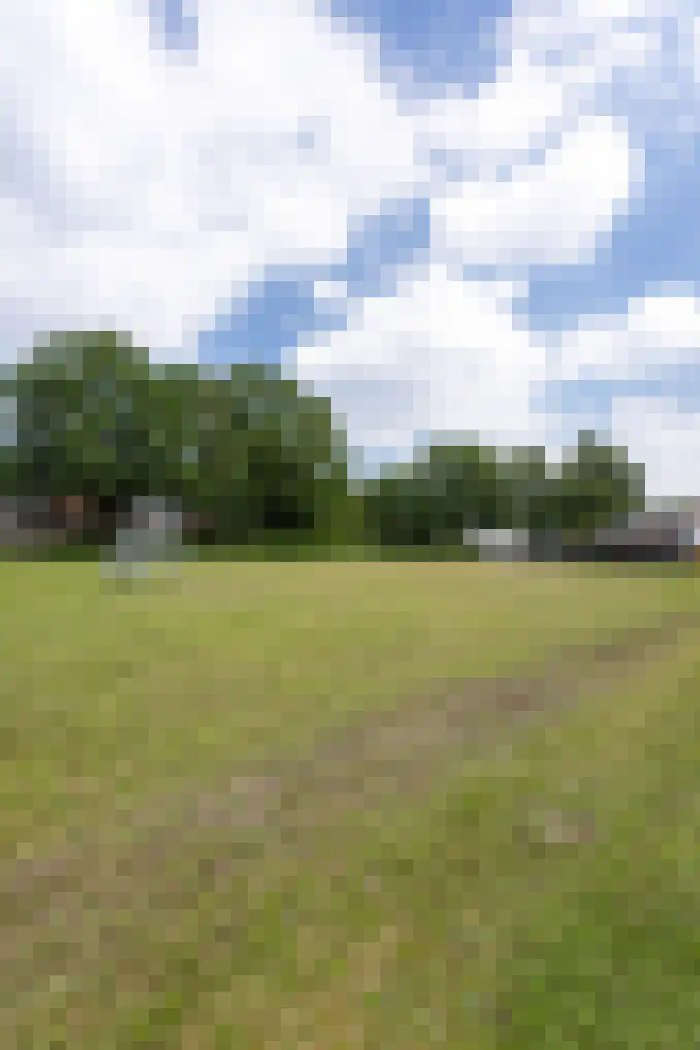 Mercury 261 Soesterberg thumbnail 4