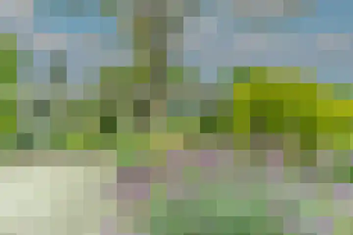Mercury 3 Soesterberg thumbnail 15