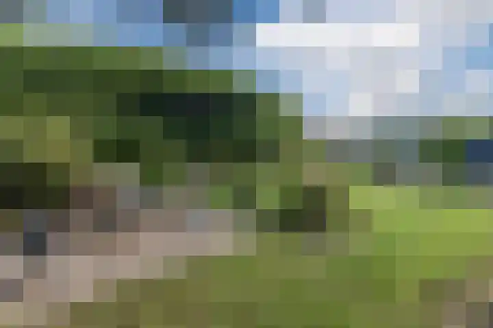 Mercury 8 Heeze foto 3