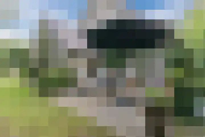 Mercury 8 Heeze thumbnail 46