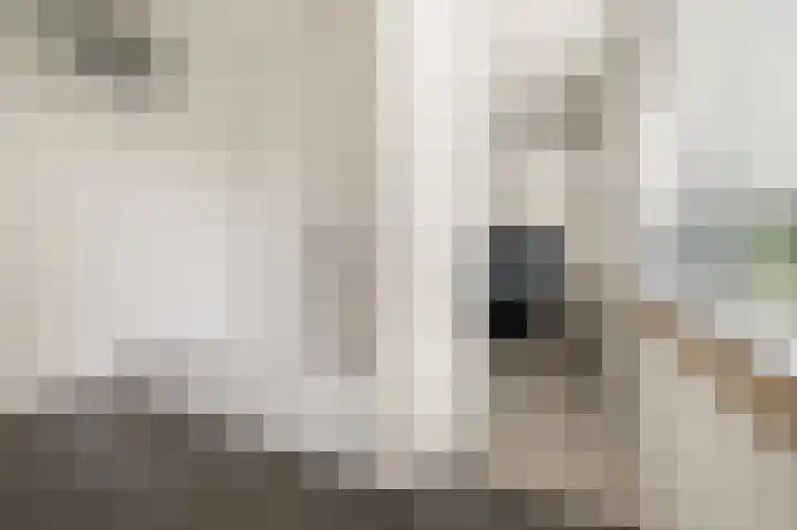 Mercuryplein 3 Krommenie thumbnail 25