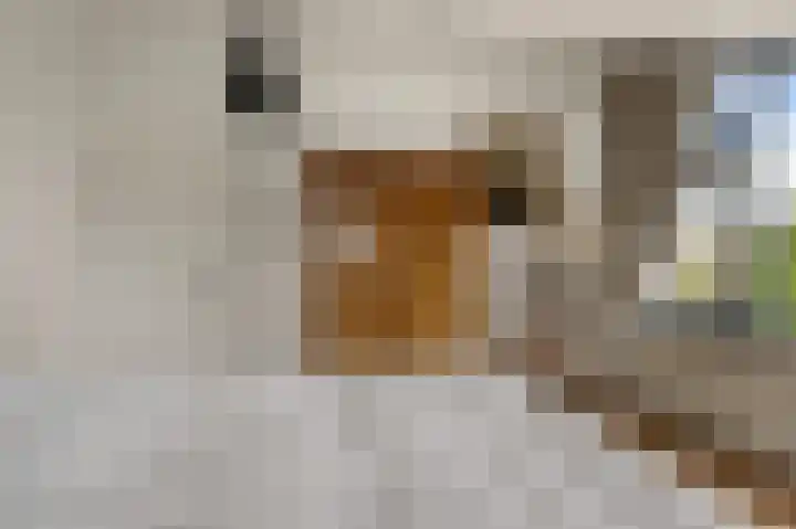 Mercuryplein 3 Krommenie thumbnail 40