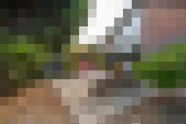 Mercuryplein 3 Krommenie thumbnail 46
