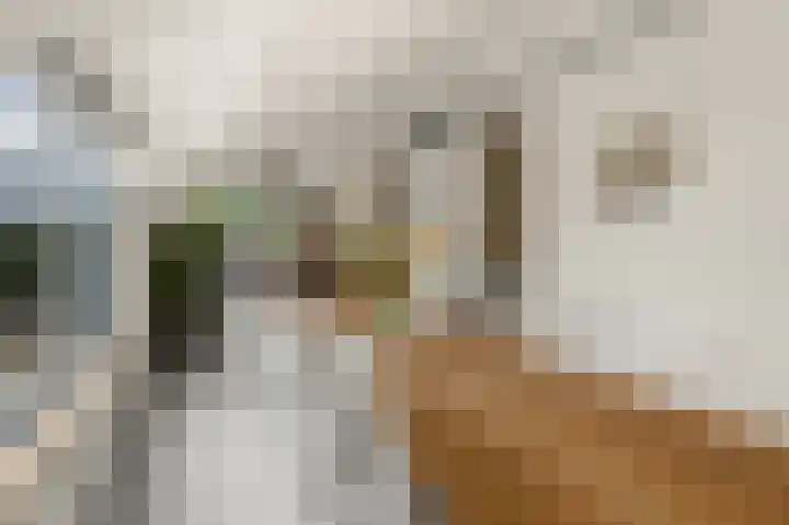Mercuryplein 3 Krommenie thumbnail 6