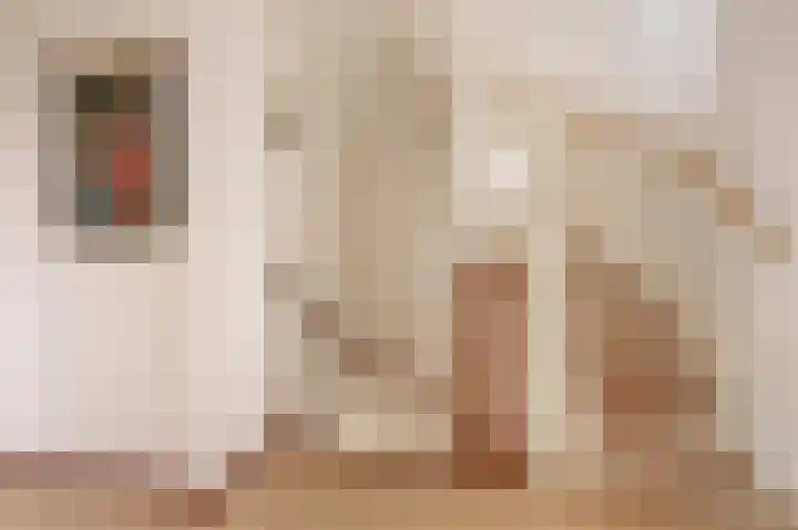 Meredith Willsonstraat 63 Utrecht thumbnail 28