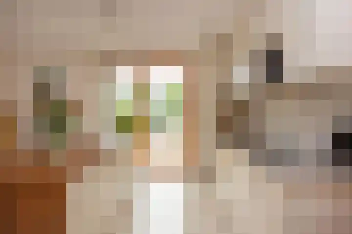 Meredith Willsonstraat 63 Utrecht thumbnail 33