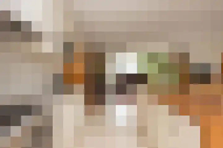 Meredith Willsonstraat 63 Utrecht thumbnail 34