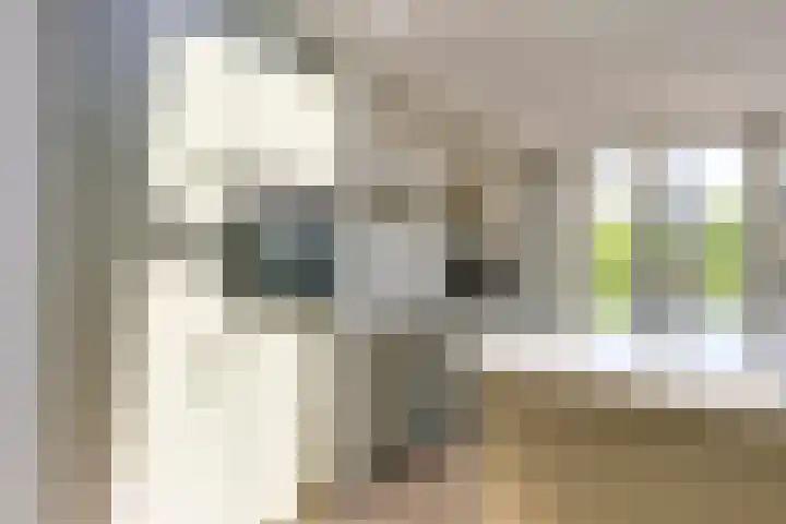 Merefeltstraat 14 Veldhoven thumbnail 12