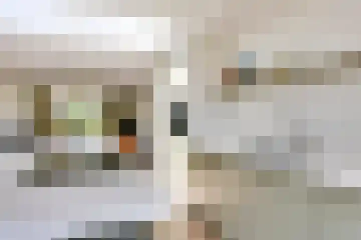 Merefeltstraat 14 Veldhoven thumbnail 16
