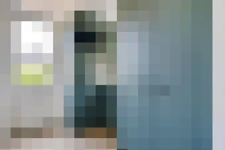Merefeltstraat 14 Veldhoven thumbnail 20