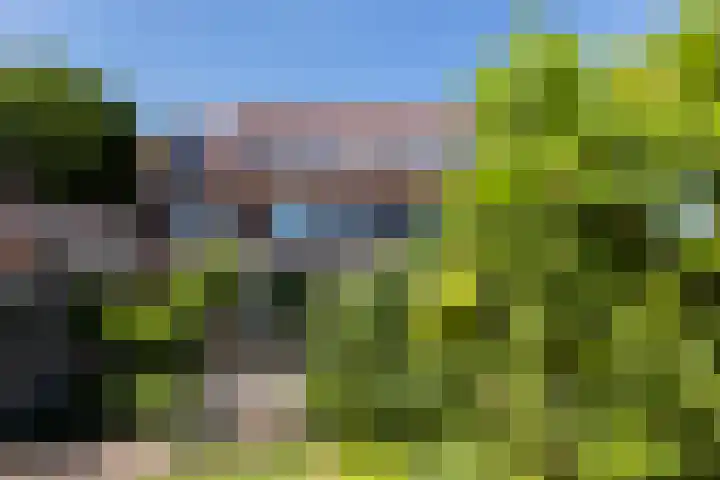 Merefeltstraat 14 Veldhoven thumbnail 48